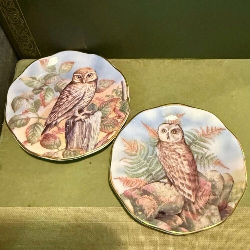 Set of 2 Fine Bone China Mini Owl Plates • Made in England • 2 7/8” • Miniature